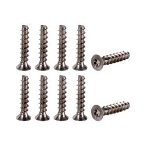 LOCK PLATE SCREWS x10