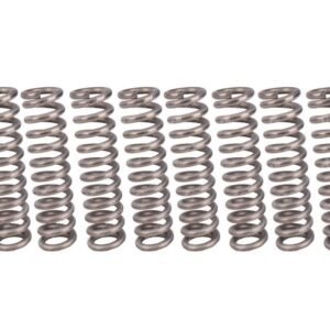 ADJUSTMENT TIP SPRING x10